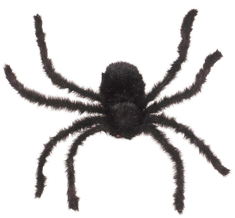 SPINNE HAARIG SCHWARZ